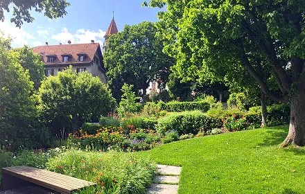 Aménagement complet d'un jardin à Lausanne en 2024