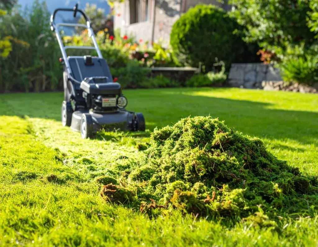 La scarification pour un gazon qui respire