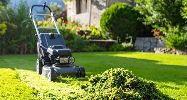 Quand et comment entretenir sa pelouse pour un gazon dense et sain ?