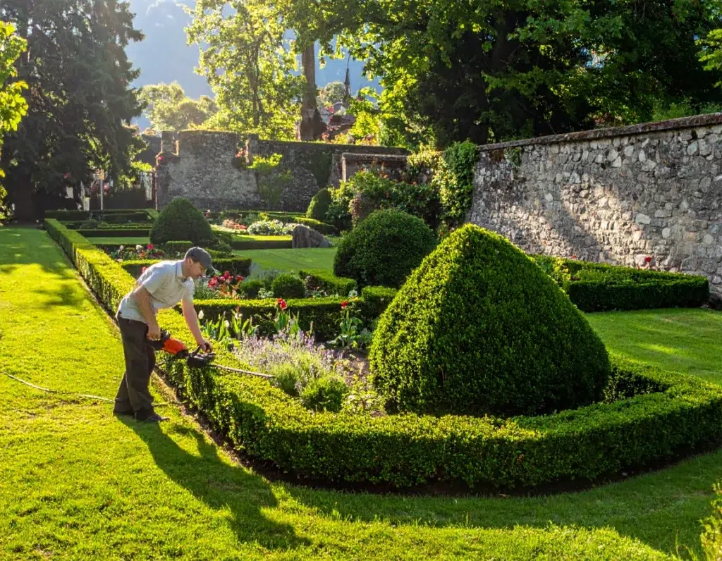 Les techniques de taille pour un résultat professionnel