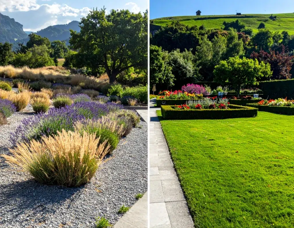 Adapter le jardin sec aux conditions suisses