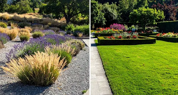 Jardin sec ou jardin classique : comment choisir selon votre terrain ?