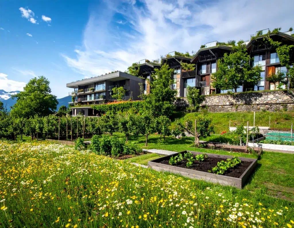 Les espaces extérieurs multifonctionnels