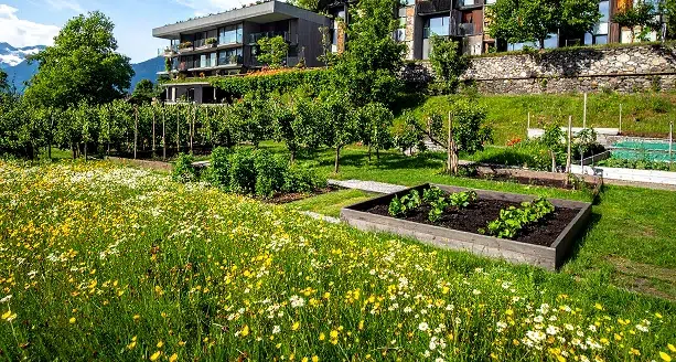 Quelles tendances pour les jardins en 2026 ? Inspiration et idées d'aménagement