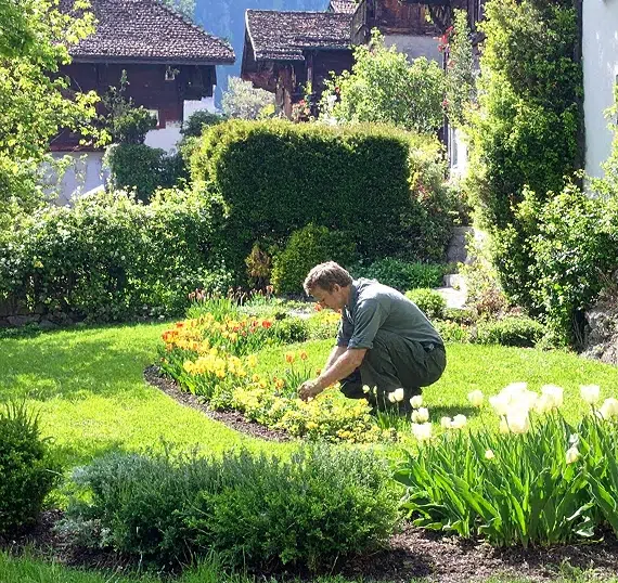 Création de jardins
